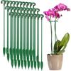 10 Stück Rostfester Wiederverwendbarer Pflanzenhalter, Fixierstab für Phalaenopsis-Orchideen, Gartengerät gegen Umknicken für Gemüse und Blumen