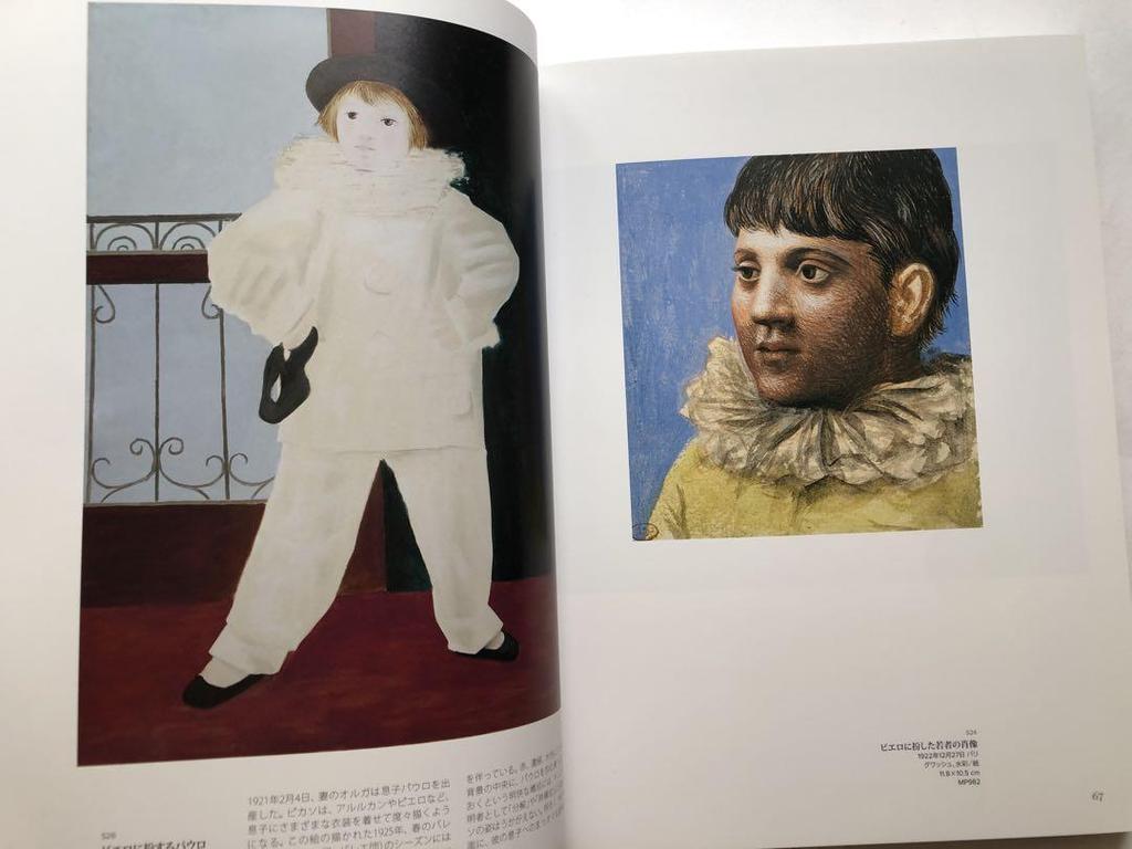 [USED] Master Picasso Exhibition Catalogue: The Path of Love and Creativity: Portrait of the Soul, Oil Painting, Art Collection, Museum