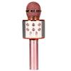 JSS EVN Karaoke Microphone Home KTV System Handheld USB Rechargeable Portable Speaker Rose Gold with English Manual