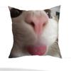 Funny Cat Meme Pillow Case Pillow Case Living Room Sofa Cushion Cover Suitable For Home Bedroom Room Decoration