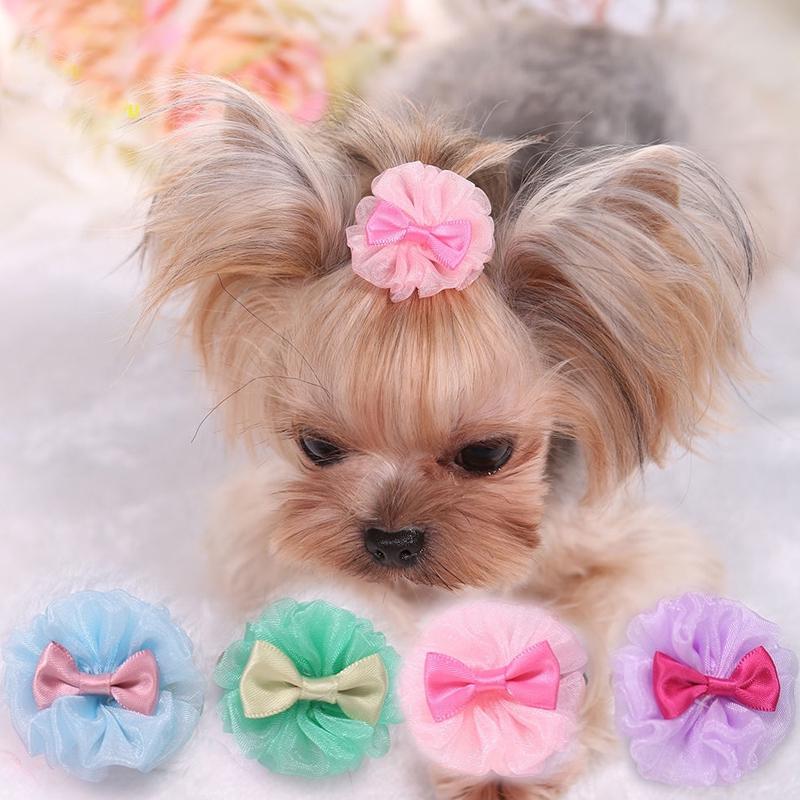 cute dog accessories