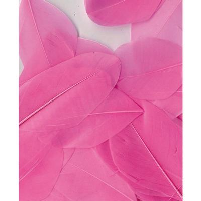 PINK FEATHERS - 6 CM
