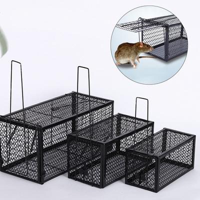 Mantenimiento y limpieza – Protección contra plagas