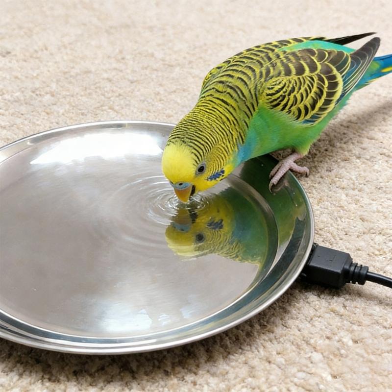 Poultry Drinking Water Constant Temperature Base Safety Chicken House Water Heater Heating Constant Plate Breeding