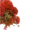 One Faux Red Leucospermum Flower Bunch 5 Heads Artificial Dandelion Stem for Wedding Centerpieces Floral Decoration