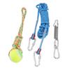 Spring Pole Dog Rope Toys Interactive Hanging Bungee Dog Toys for Medium Large Dogs 16.4ft