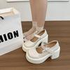 French new versatile skirt platform round head pearl 2025 spring single shoes retro Mary Jane small leather shoes women