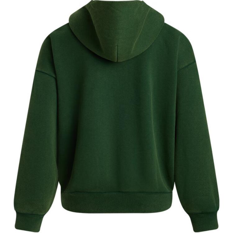 Under Armour Icon FW24 Hooded Pullover Sweatshirt Women sweatshirts Forest-Green 1386485-301