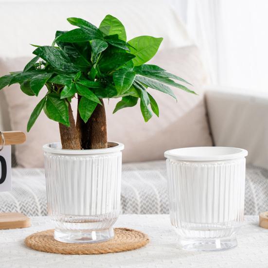 Self Watering Plant Pot Plastic Flower Pot with Water Reservoir Wick Ropes Modern Indoor Planter for Home Office