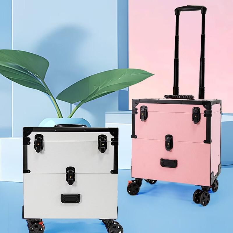 Professional Mini Beauty & Makeup Artist Travel Case