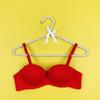 South East Asia Glossy Underwear Women's Small Breasts Gathered with Steel Rim Top Support Versatile Sexy Pure Desire Bra