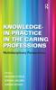 The Knowledge-in-Practice In the Caring Professions : Multidisciplinary Perspectives Book