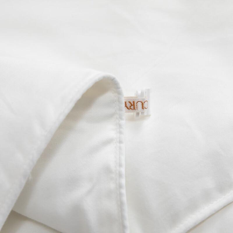 Mercury Home Textiles Antibacterial Mulberry Silk Duvet