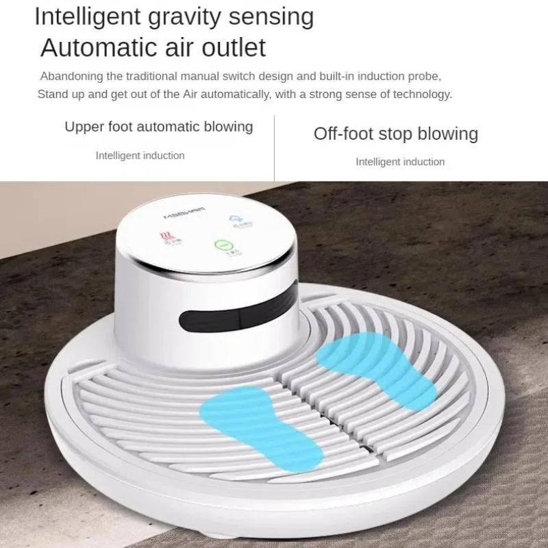 Dryer Household Negative Ion Body Dryer Hotel Bathroom Dryer Cold and Warm Dual-purpose Body Dryer