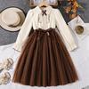 Girls' Fashion Dress: Fall Children's Retro Long-Sleeve Tulle Princess Dress