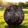 Pallone da Calcio Standard 5 con Stampa di Scorpioni Resistente agli Urti?Palla Assorbente Per Allenamento Partita Gioco all'Aperto
