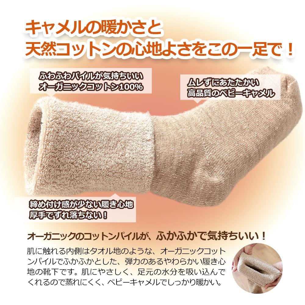 Camel Organic Cotton Long Made in Authentic Camelya Bonus Suitable for Sensitive Cold Insulation [Tennen-ya] & Knee-High Socks, Unisex, 2-Pair Set,