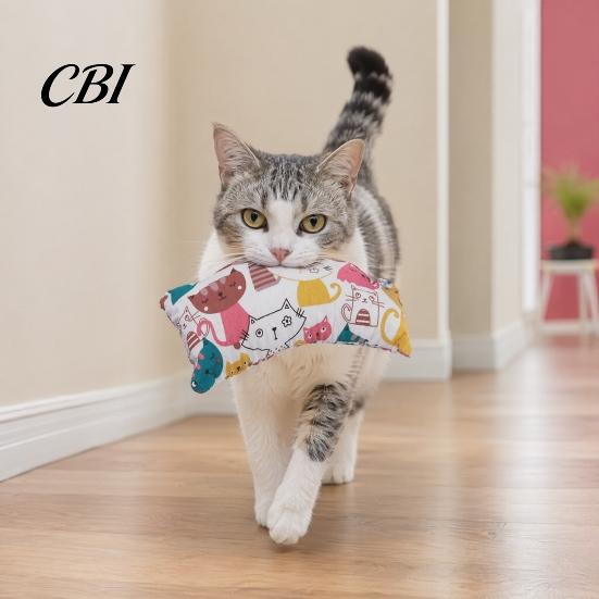 Chew And Scratch Cat Toy Cuddle Pillow Toy, Catnip with Silver Vine, Crinkle Kitten Kicker Soft Cute Print Snuggle for Indoor Cats Biting Kicking