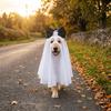 Breathable Dog Ghost Cape Halloween Theme Pet Transformation Costume  Party
