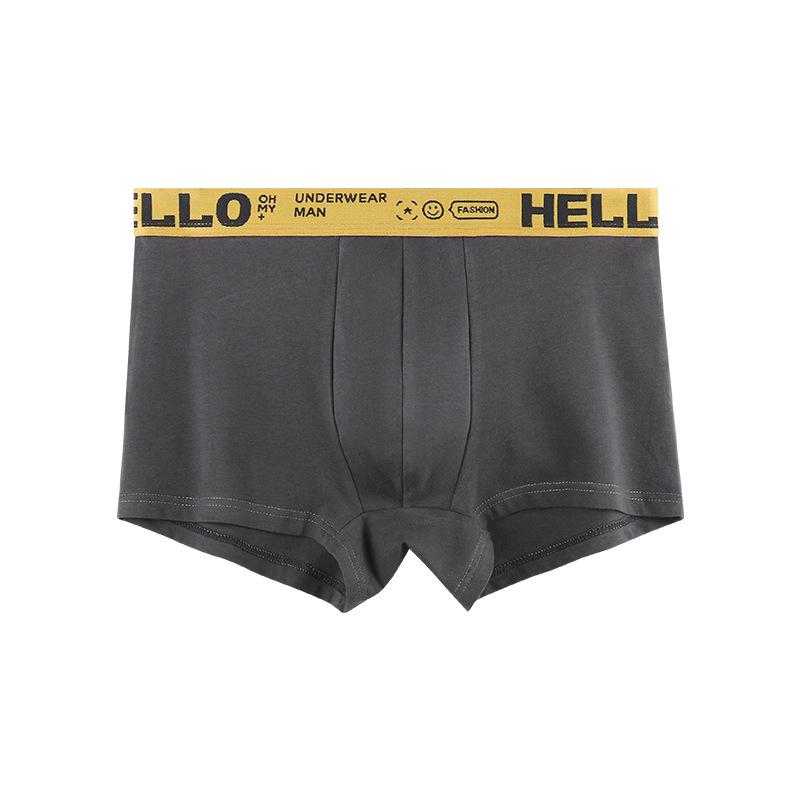 Antibacterial Mid-Rise Boxer Briefs for Men and Teens - Breathable Large Size Pants.