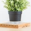 30Pcs Plastic Flowerpot Bottom Tray Set Long-Lasting Non-Deformable Plant Pot Water Holding Base Anti-Aging Garden Supplies