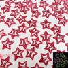 10pz Fermacapelli a Stella Colorati Luminescenti, Mollette BB a Scatto, Barrettine Luminose, Pinze per Capelli Bambina, Accessori per Acconciature Bambini