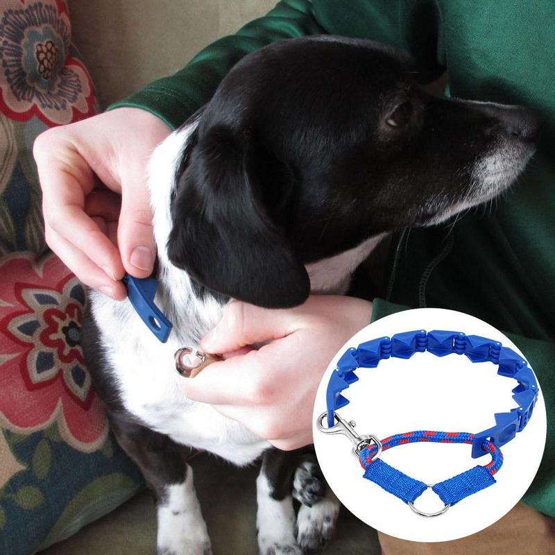 don sullivan dog collar