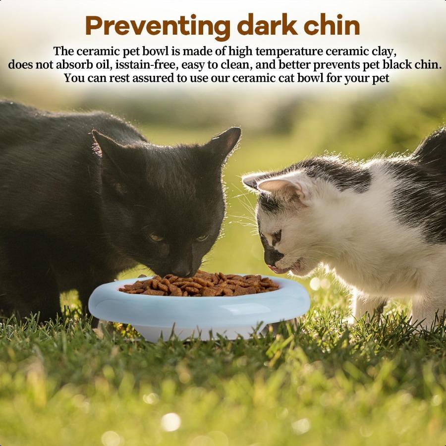 6Inch Ceramic Cat Food Bowl6 Oz Wide Shallow Cat Bowls Whisker Fatigue Relief AntiVomiting Design Spine Protection for Cats Dis