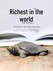 Handmade Retro Chinese Divine Turtle Ornament for Home or Office Decor