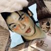 Actor And Singer Xu Guanghan Pillow Case Fashion Square Pillowcase Bedroom Sofa Room Ins Decoration Leisure