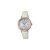 CASIOSHEEN Peach Gold IP Coating Simple Three-hand Design Roman Scale Date Display Solar Quartz Movement Leather Strap Japanese SHS-D300CGL-7APR