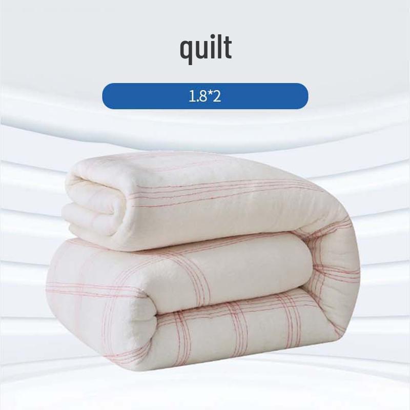 Buzhengsi Hot Water Heated Quilt