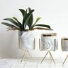Beautiful Artificial Plant Fresh-keeping Eco-friendly Decorative
