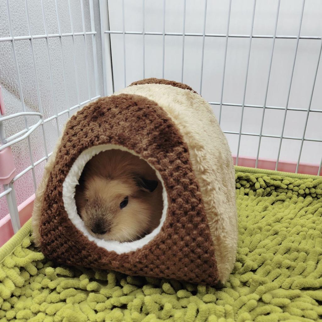 Small Pet 2 Tier Hammock Warm Plush Bed Cage Hideout Toy for Hamsters Chinchillas Squirrels Sleep Easy to Clean