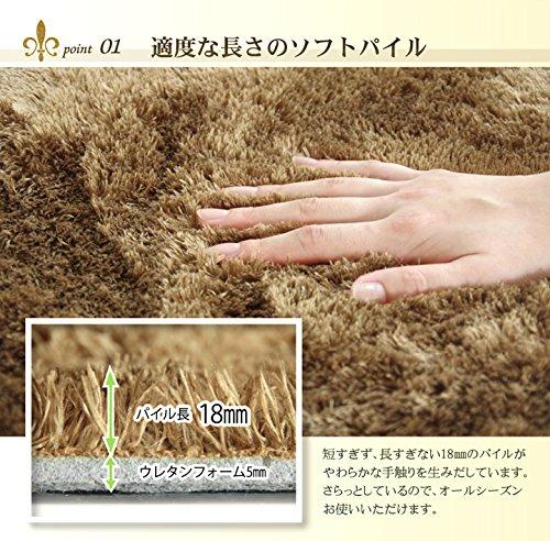 IKEHIKO Rug, 4-Tatami Size, Solid Shaggy Texture, Available In Large Orange, Approx. 200 X 300 Cm, Compatible with Heated Carpets, #3952239