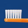 Soft Toothbrush 703 Flat S 0073 (50 Brushes) with Cap