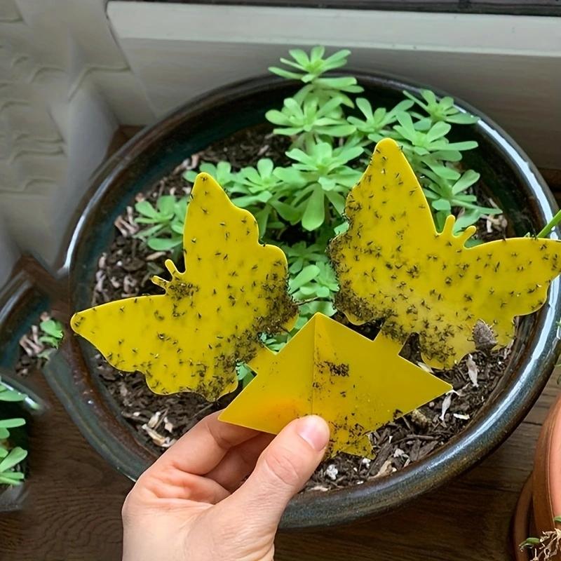 50pcs/10Pcs Yellow Armyworm Trap Trap Board Sticky Trap Fruit Fly Insect Fly Pest Trap