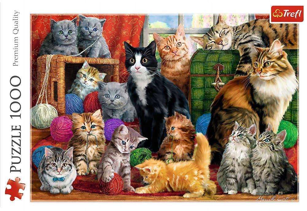 Puzzle 1000 Koloseum W Promieniach Słońca 10468