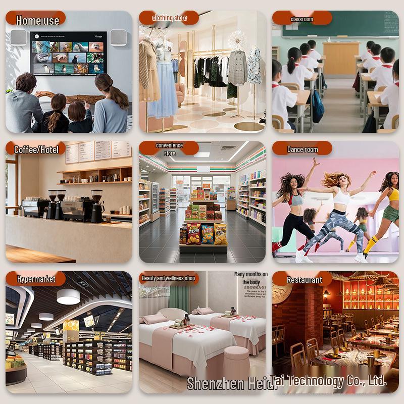 Bluetooth Wall-Mounted Speaker: Multi-Device Sync for Shops, Restaurants, Gyms, and Meeting Rooms