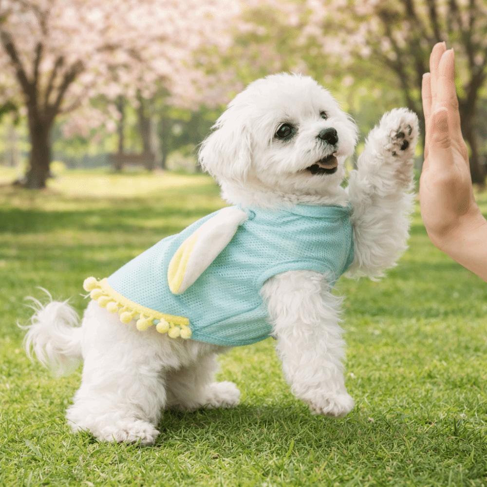 Fashion Breathable Dog T-Shirt Cartoon Comfortable Cat Traction Suit with D-ring Lightweight Pet Vest Daily Walk