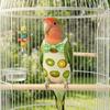 Comfortable Adjustable Pet Parrot Diaper Fruit Pattern with Bowtie Bird Nappy Breathable Soft Fabric Bird Vest Travel