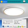 2025 LED Eye-Protecting Full Spectrum Ceiling Light for Bedroom and Living Room - Modern and Simple Design