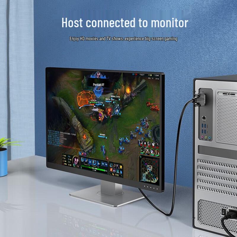 Shengwei DVI-D 24+1 Single Link Male-to-Male Monitor Cable