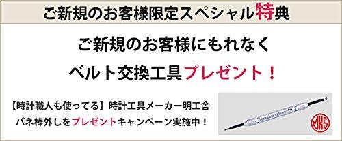 Hirsch Watch D Buckle SS-18mm