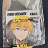 Windbreaker Winbre Neeray Can Badge