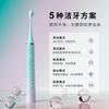Saijia SG-2750 Sonic Electric Toothbrush