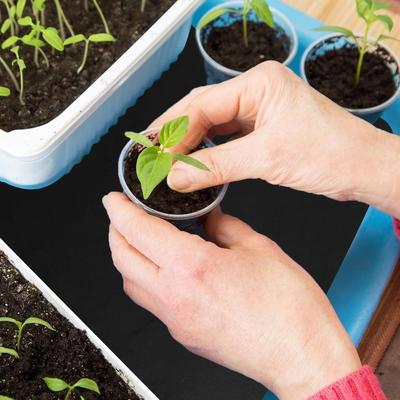 Plant Watering Mat 3mm Plants Watering Capillaries Mat Automatic Drip Irrigation Kits Hydroponics Garden Accessories For Women