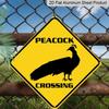 2D Flat 1pc, Funny Peacock Crossing Sign - Heavy-Duty Iron Metal Plaque with Peacock & Rooster Design Suitable for Indoor/Outdoor Use - Farmhouse