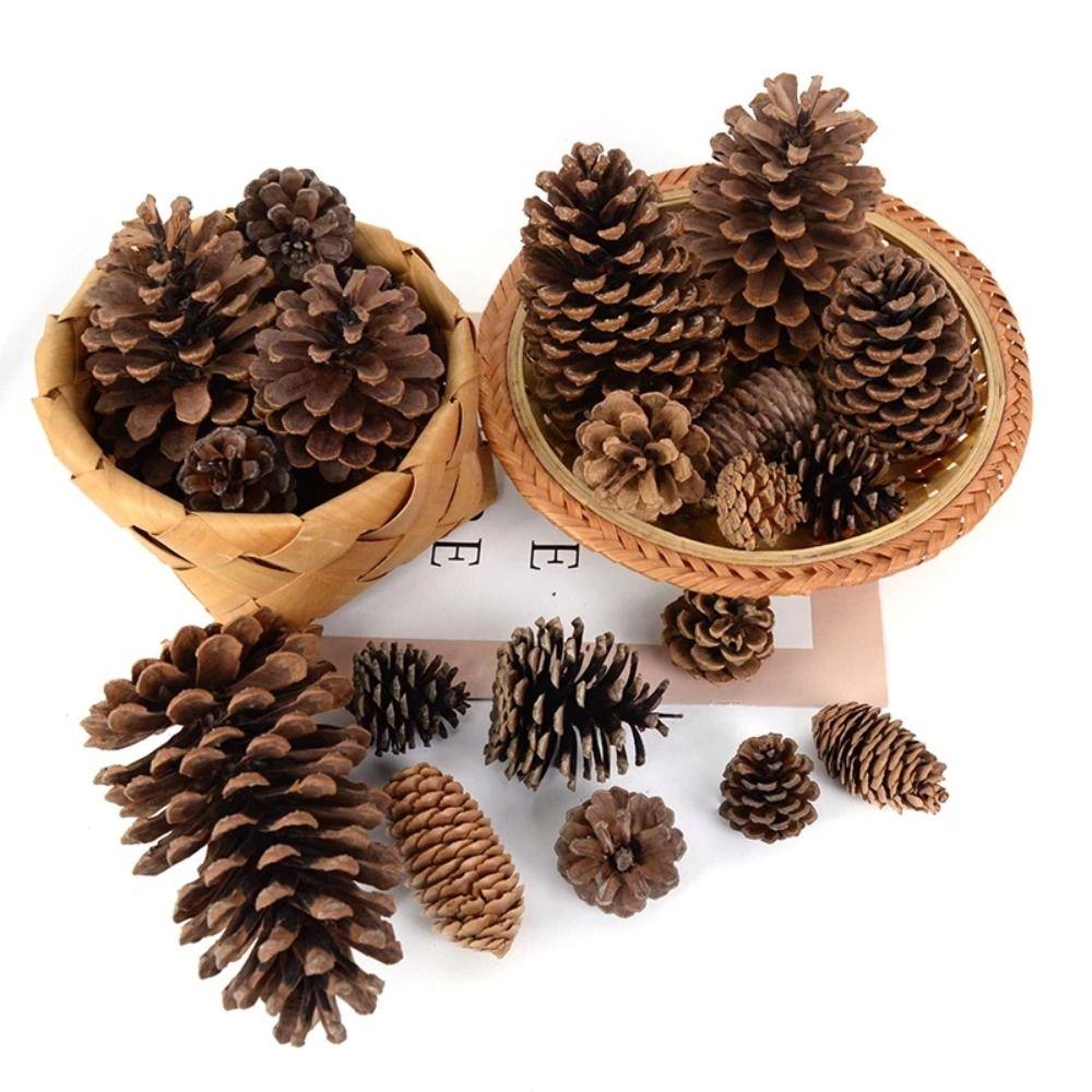 Wreath Western Food Plate Natural Pine Nut Artificial Flower Florist Decoration Wedding Decoration