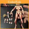 Attack On Titan Pvc Action Figure Model For Office Desk Decor With Articulation